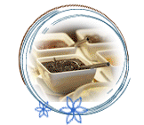Food container products